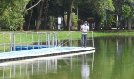 在公园和老池塘钓鱼能让人兴奋和放松