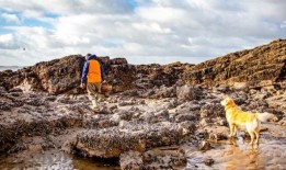 拥有巨大海滩的沿海村庄比它著名的邻居更有竞争力