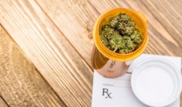 阿拉巴马大麻联盟对医用大麻缺乏进展感到“极度失望”