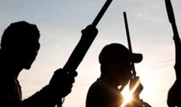 枪手在阿布贾绑架了7名家庭成员