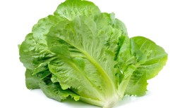 研究表明，生菜有助于缓解荨麻刺痛