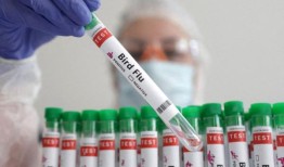科罗拉多州又有三名家禽农场工人感染禽流感