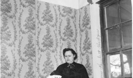粗鲁的觉醒：70年前的今天，阿拉巴马州的一名妇女从陨石撞击中幸存下来
