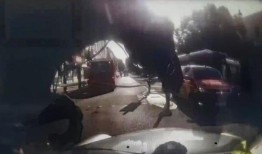三匹军马在被公共汽车吓到后，在伦敦的街道上飞奔而过