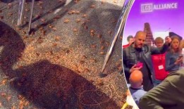 “邪恶的”跨性别活动人士在LGB联盟的活动中释放了成群的昆虫