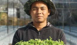 菲尔丁的梦想