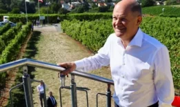 德国的肖尔茨(Scholz)在其家乡州的出口民调中逃脱了极右翼的胜利