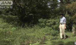 日本京都7个必尝甜点的地方