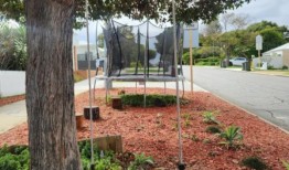 发起了一项保护珀斯边缘蹦床的请愿活动