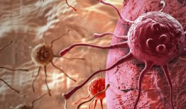 加州大学圣地亚哥分校的科学家揭示了河马通路在抑制肿瘤免疫原性中的惊人作用