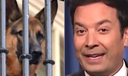 吉米·法伦把指挥官离开白宫变成了对特朗普的尖刻评论