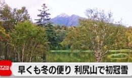 探索日本的科技创新和文化遗产