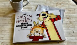 惠特迈尔：我从加尔文和霍布斯那里学到的